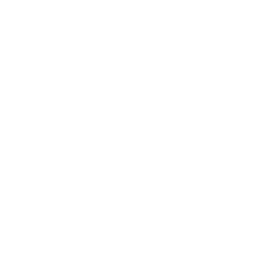 1 - Diagnóstico Profundo